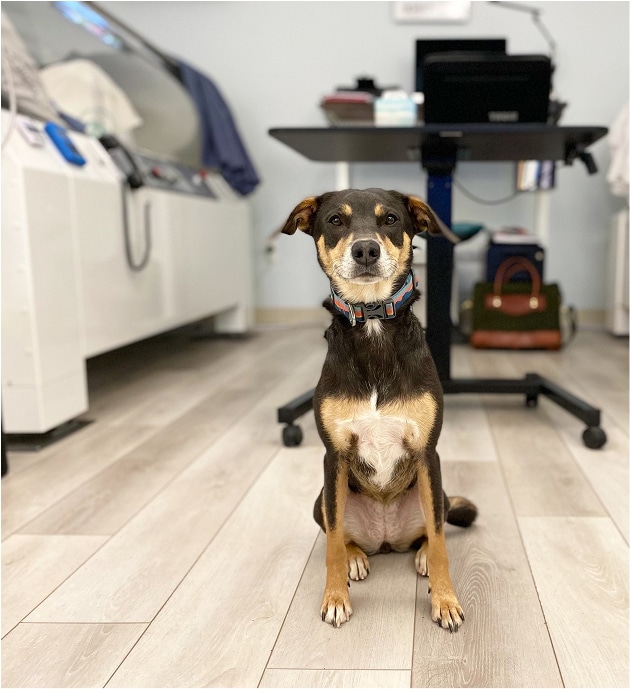 Charlottesville Hyperbarics